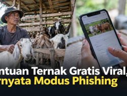 Bantuan Ternak Gratis Viral, Ternyata Modus Phishing