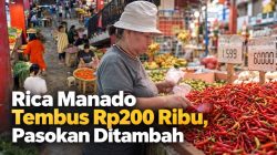 Rica Manado Tembus Rp200 Ribu, Pasokan Ditambah